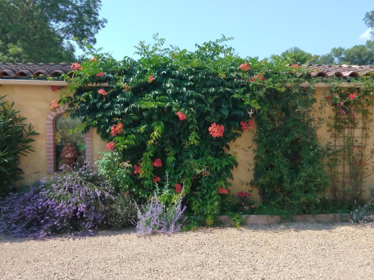 Albi A Proximite, Maison D'Hotes Les Oliviers Rosieres  Екстер'єр фото