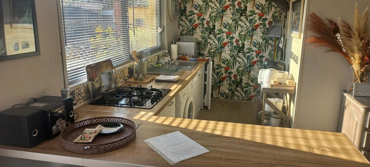 Albi A Proximite, Maison D'Hotes Les Oliviers Rosieres  Екстер'єр фото